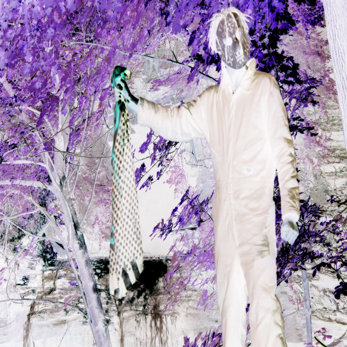 Underdig Entertainment CROWN WILDLYFE
– Underdig Entertainment Crown WildLyfe