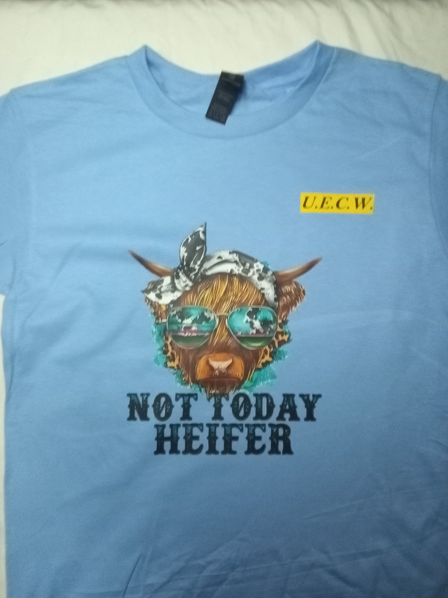 UECW👑 F'NES T.Y.G. MERCH🎙️(S) T-Shirts