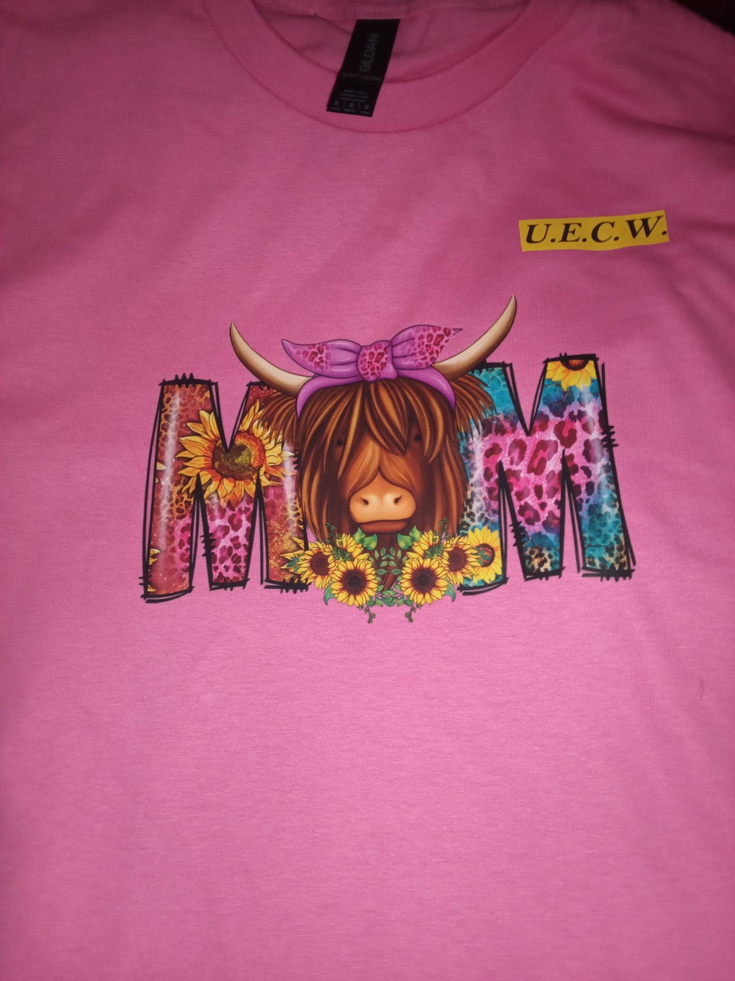 UECW MERCH (M) YOUTH T-SHIRTS