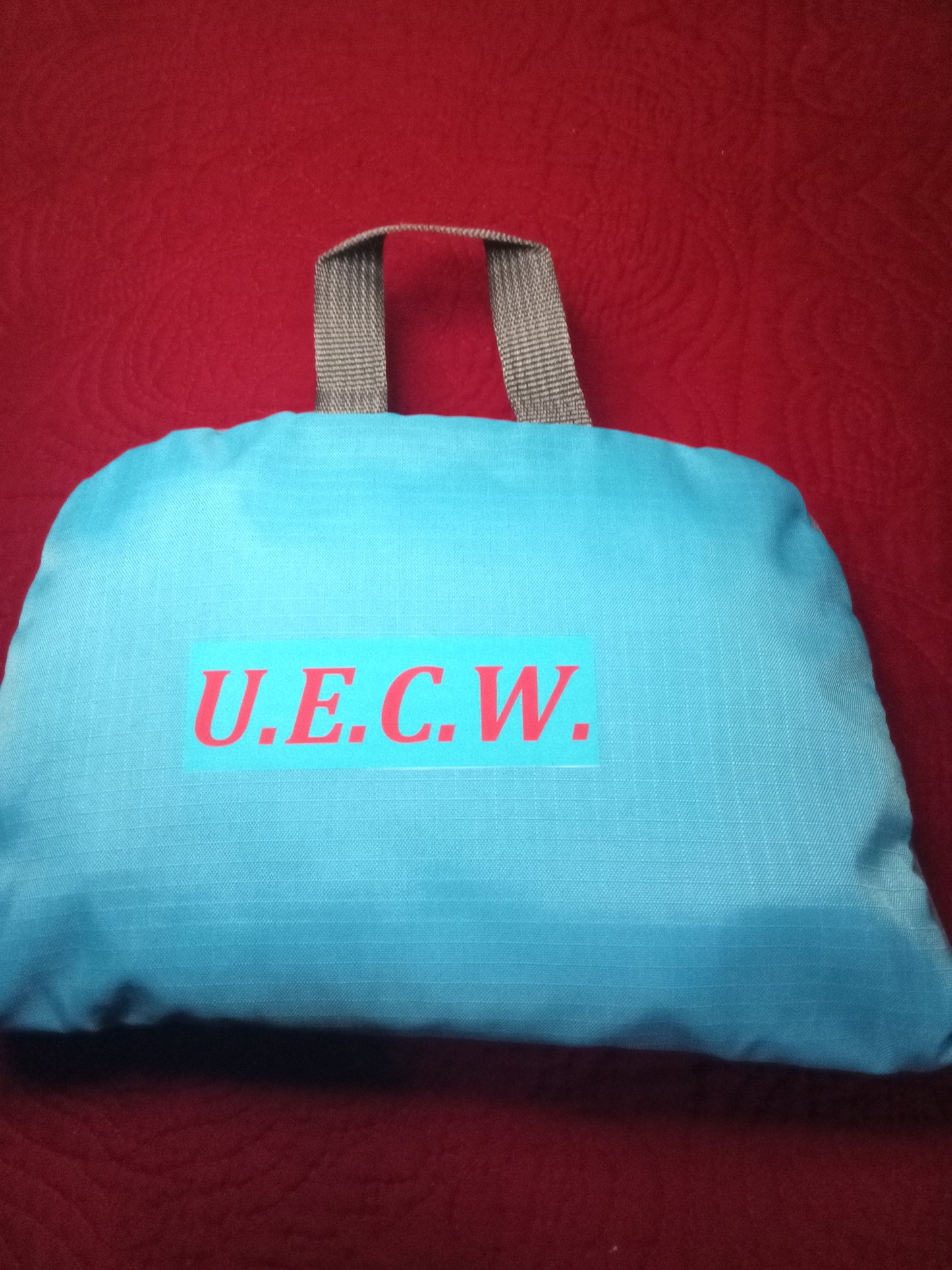UECW Hand Bag / Book Bags
