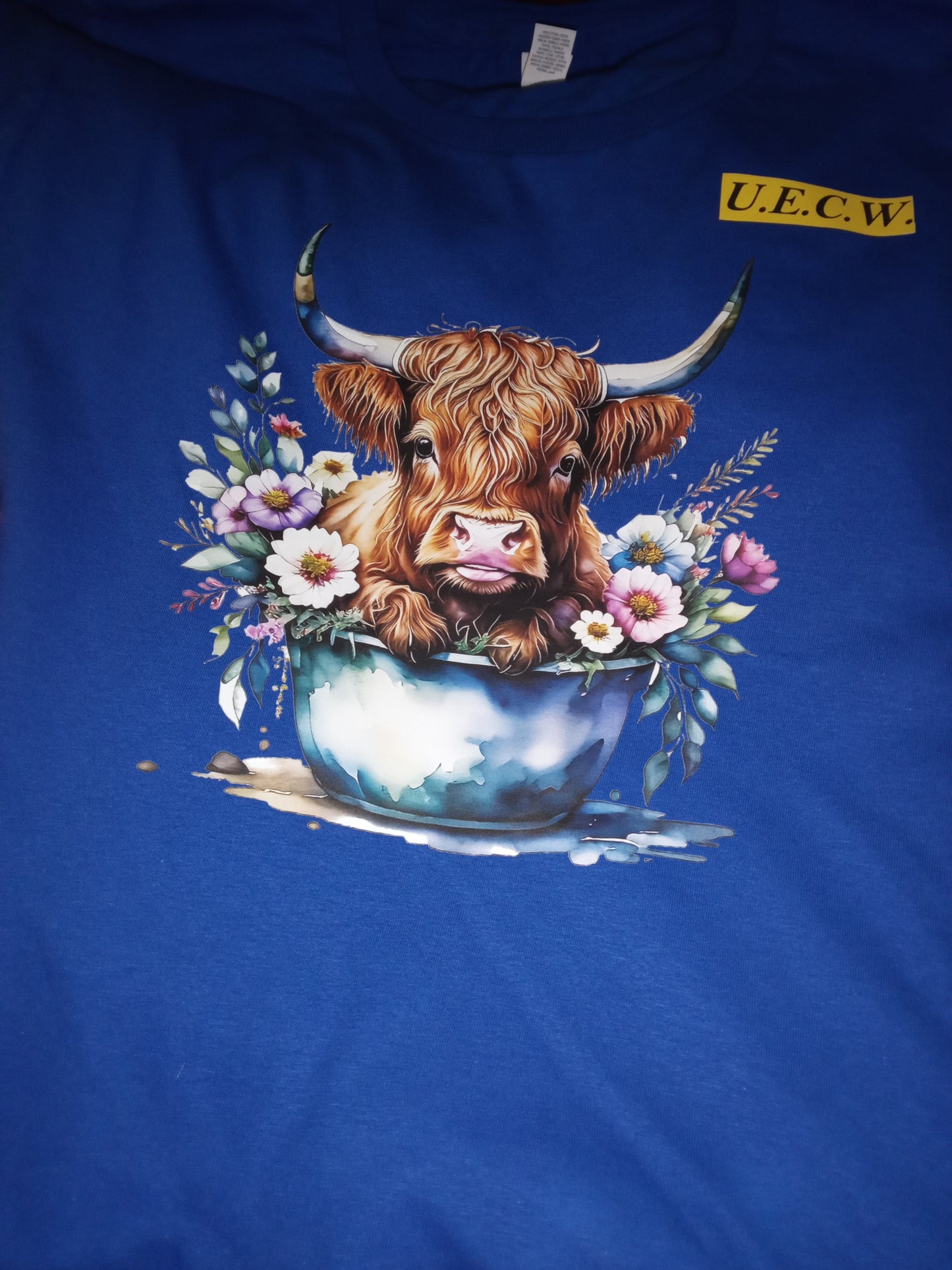 UECW MERCH XS YOUTH T-SHIRTS